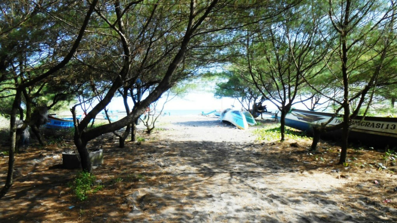 Pantai Bugel Jogja