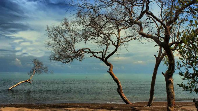 Pantai Cirewang Rute Menuju Lokasi Dan Harga Tiket Masuk