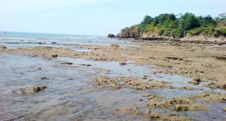 Pantai Caruban Rute Menuju Lokasi Dan Harga Tiket Masuk