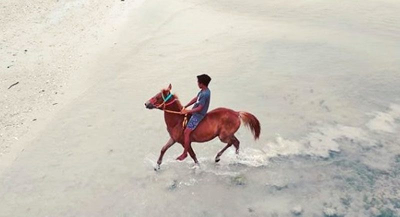 Naik Kuda Di Pantai Londa Lima