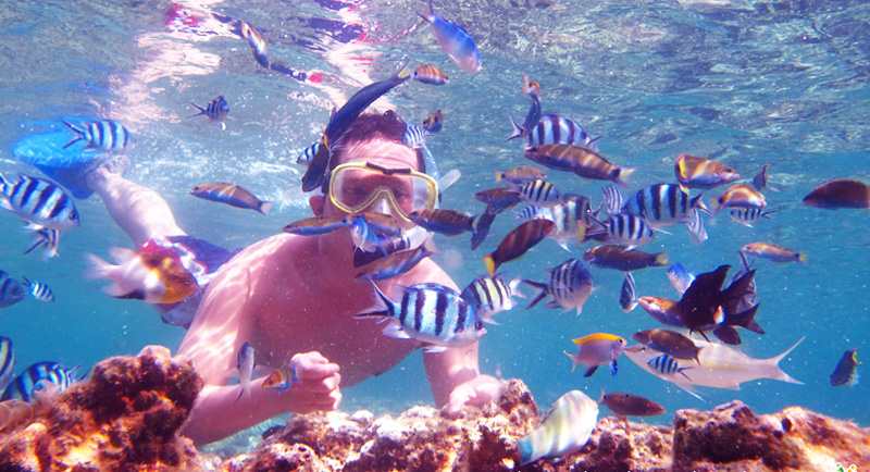 Snorkeling Di Pantai Pulau Menjangan Karimunjawa