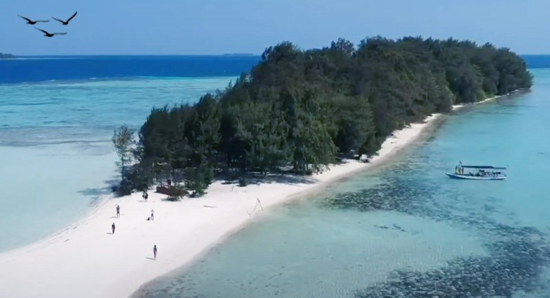 Wisata Pantai Pulau Cemara Karimunjawa