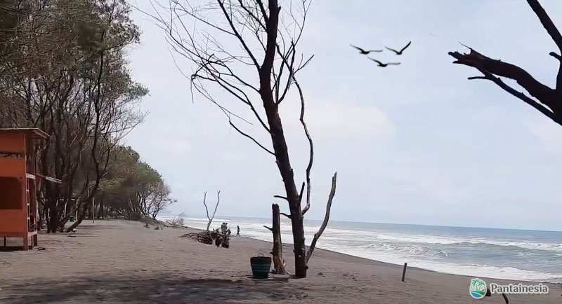 Pantai Goa Cemara Kabupaten Bantul