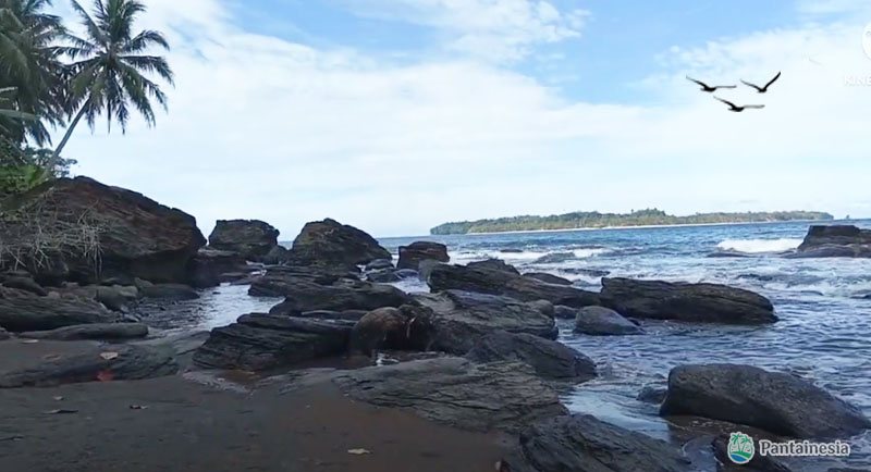Pantai Tembakak Lampung