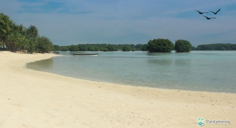 Wisata Pantai Pasir Perawan