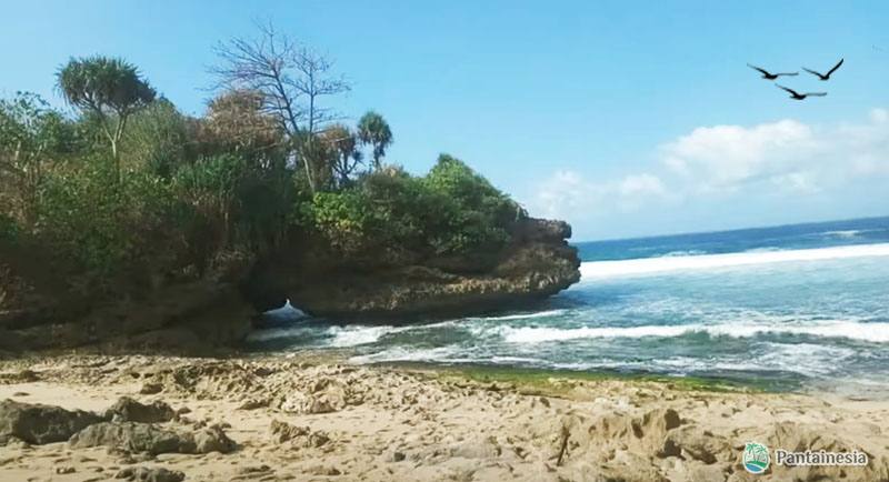 Pantai Karang Bolong Di Malang