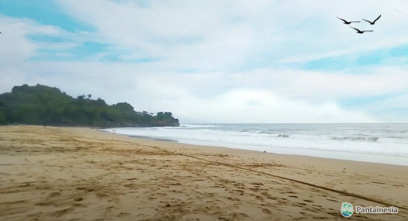 Wisata Pantai Ngantep Malang