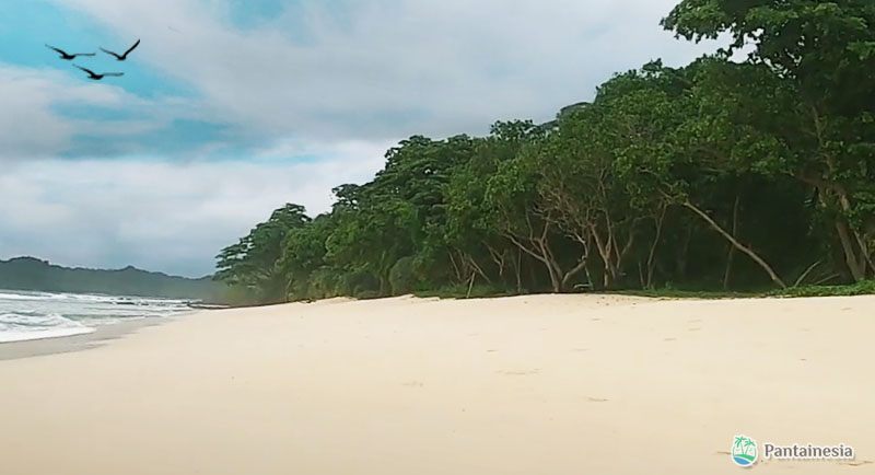 Wisata Pantai Sendiki Malang