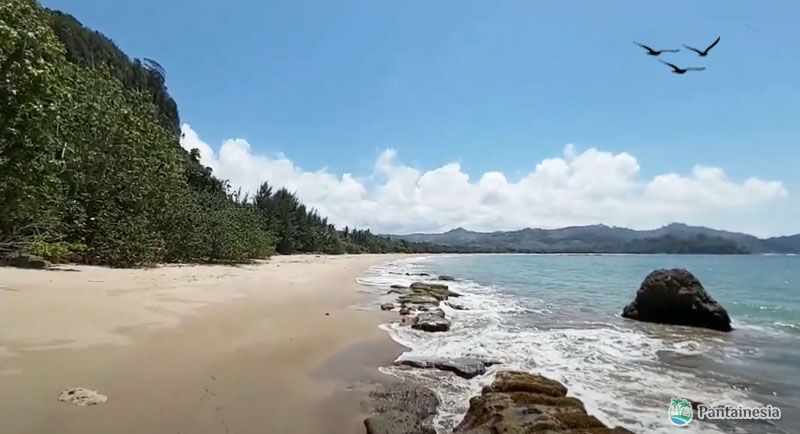 Wisata Pantai Tamban
