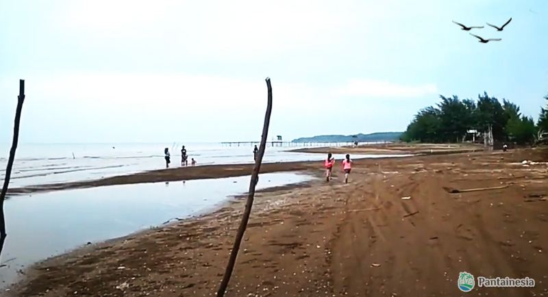 Pantai Kuripan Kota Batang